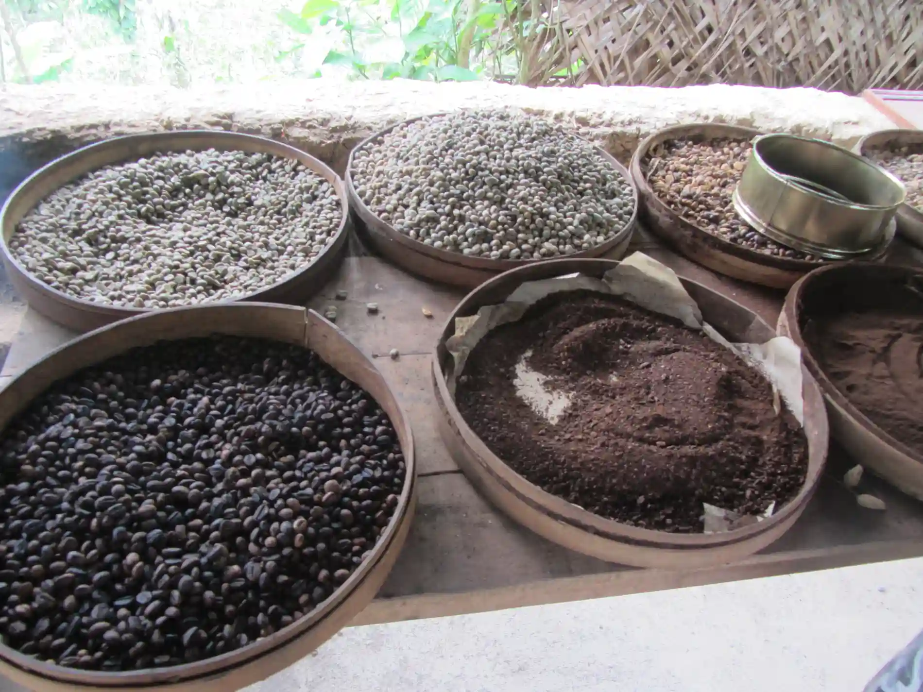 Balinese coffee and spice beans drying in traditional bowls