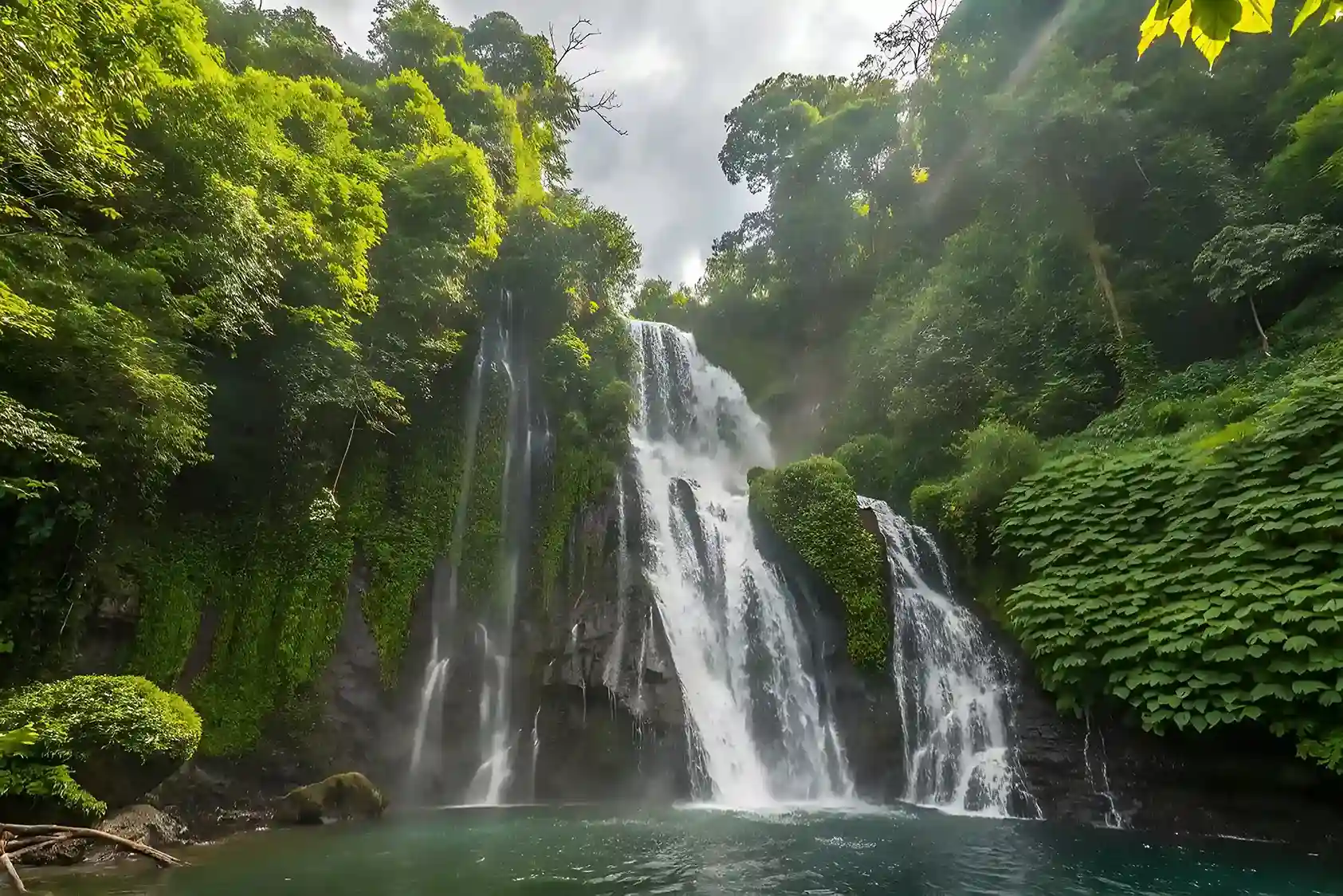 Bali Ayahuasca Style Retreats