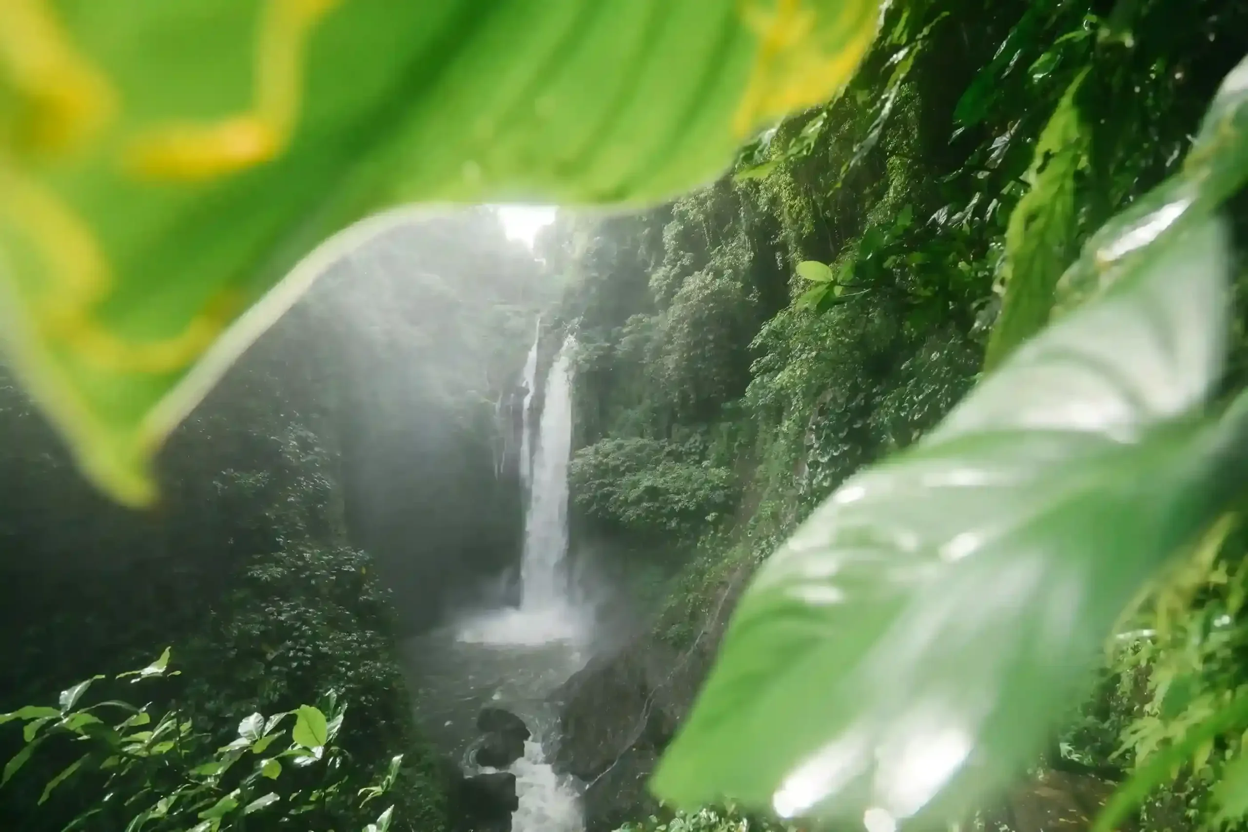 Jungle waterfall framed by tropical leaves, Bali