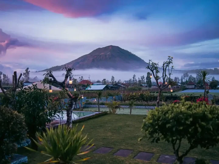 Psychedelic Coaching in Bali
