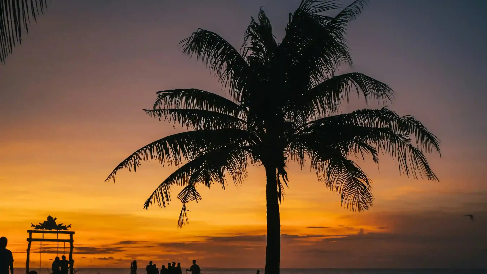 Bali Psychedelic Wellness Retreats 2027