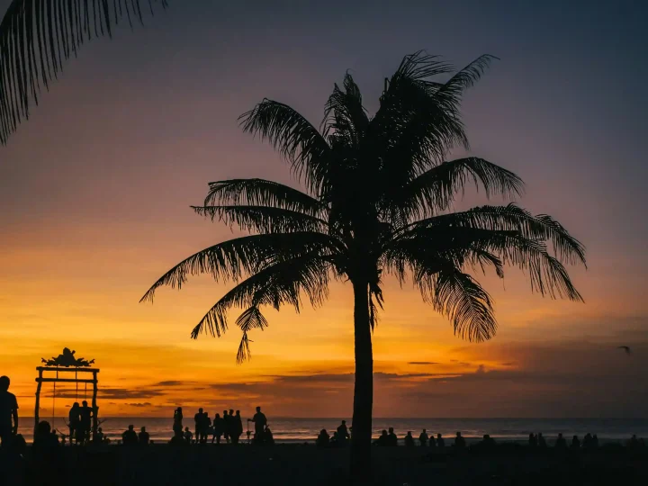 Bali Psychedelic Wellness Retreats 2027