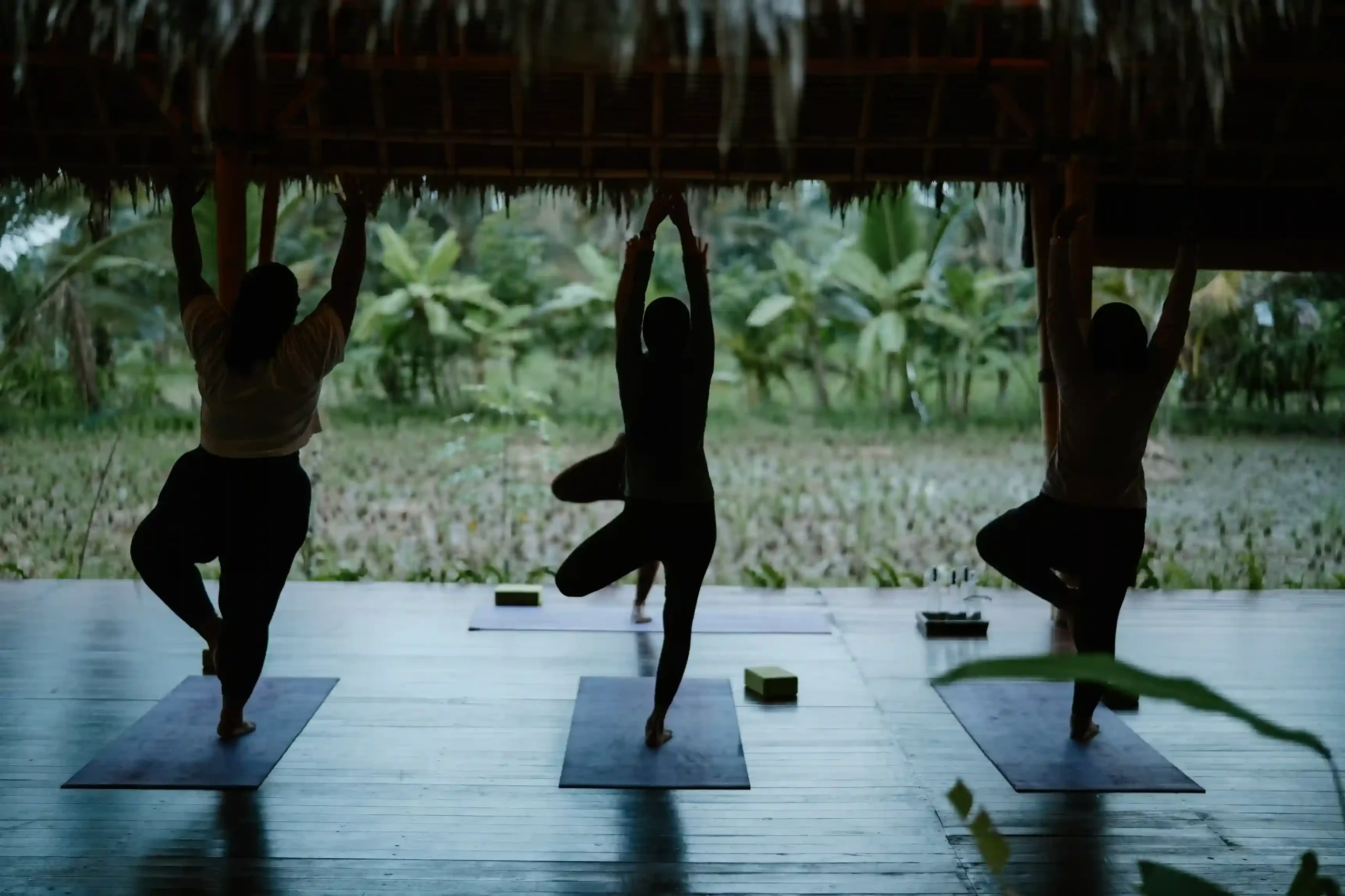 Sunset yoga practice overlooking rice fields in Ubud