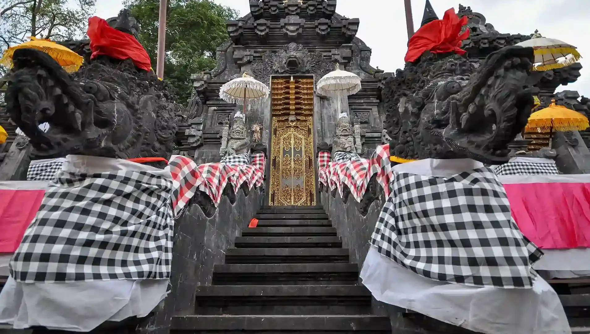 Psychedelic Harm Reduction in Bali