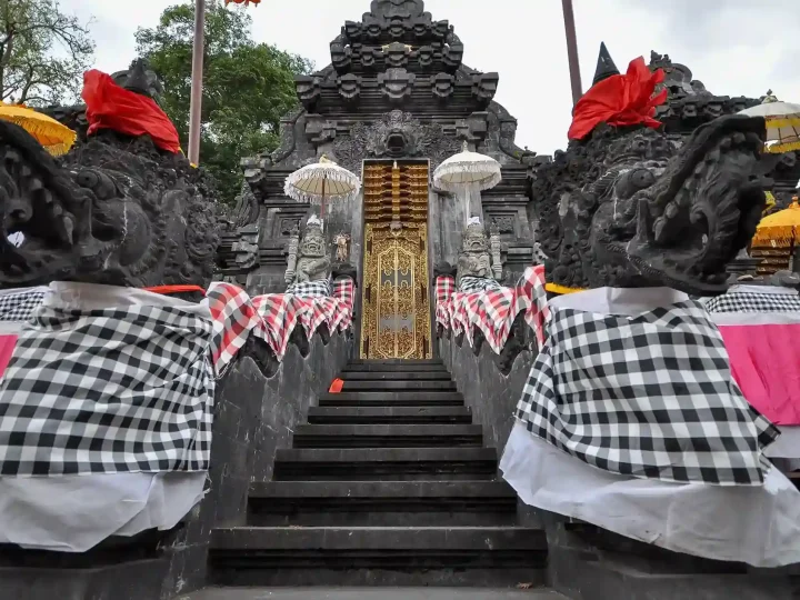 Psychedelic Harm Reduction in Bali