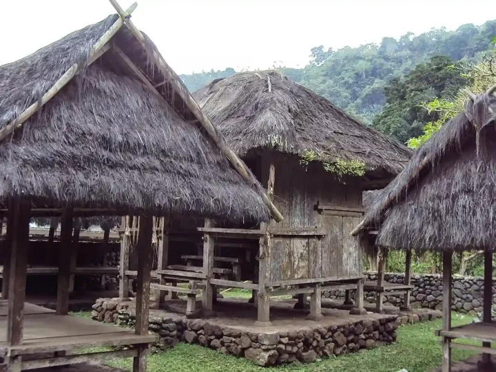 Legal Status of Psychedelics in Bali, Indonesia: What to Know for 2027